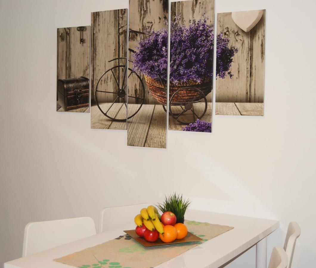 Apartment Natalie Belgrad Dış mekan fotoğraf